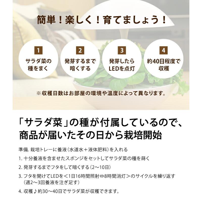 Akarina 01RN2 灯菜（アカリーナ）LED 水耕栽培 キット｜インテリア ホワイト タッチライト タイマー付  ハーブ 爆買の画像