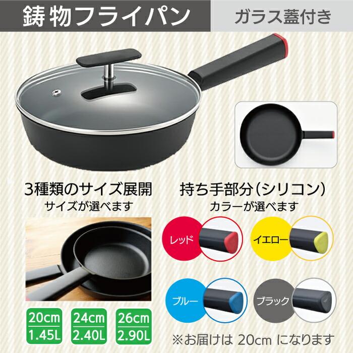 SSC 鋳物 フライパン 20cm ガラス蓋 セット 日本製 サントク 鋳物