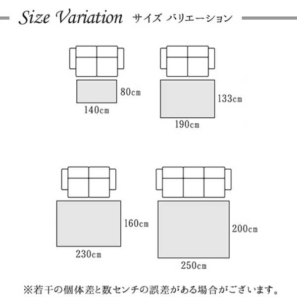 ラグ 3畳 厚手 北欧 冬 200×250cm ウィルトン織 カービング加工 ボタニカル柄 2カラー_12