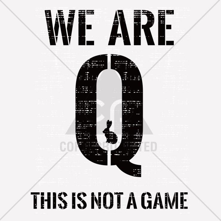 Tシャツ メンズ レディース 半袖 高品質 Q ANON アノン トランプ 政権 アメリカ 組織 陰謀論 米国 WE ARE Q おもしろTシャツ Uネック プリントTシャツ｜three-o-one｜02