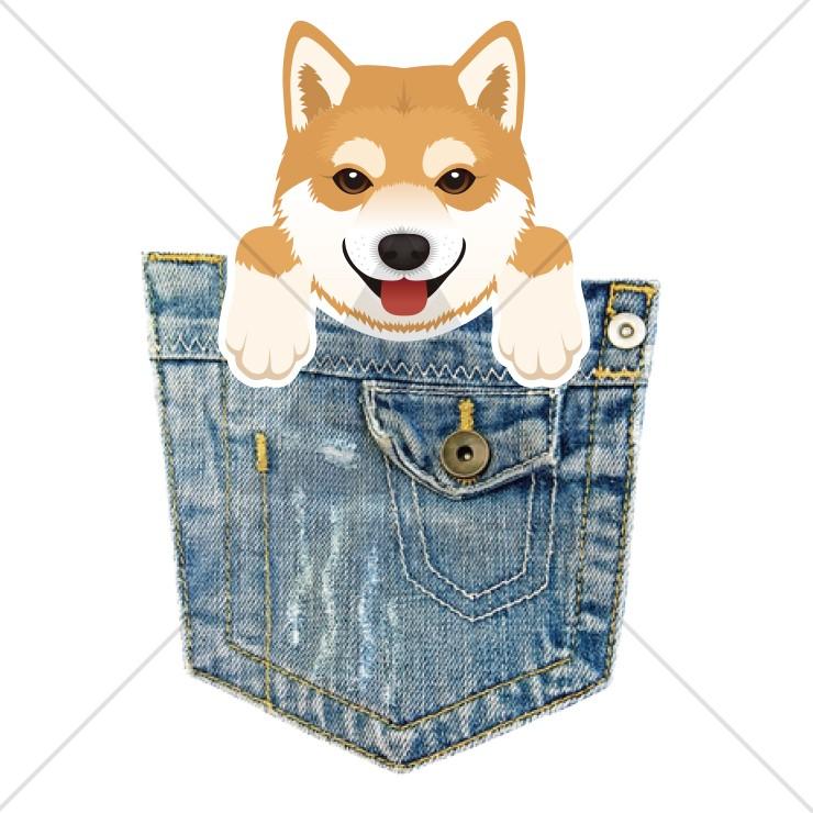 Tシャツ メンズ レディース 半袖 高品質 柴犬 マメシバ ポケットから犬シリーズ おもしろtシャツ クルーネック プリントtシャツ Dt8637 Three O One 301 Store 通販 Yahoo ショッピング