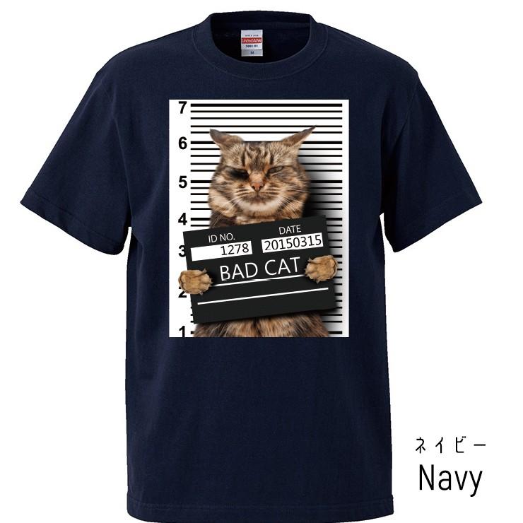 Tシャツ レディース 半袖 トップス 男女兼用 猫 ネコ ワル猫 悪い猫 