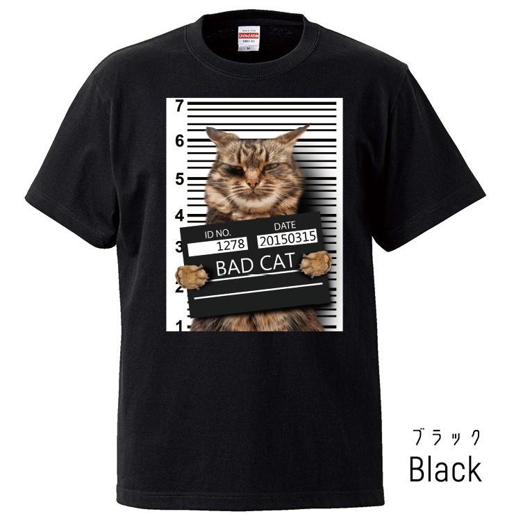 Tシャツ レディース 半袖 トップス 男女兼用 猫 ネコ ワル猫 悪い猫 おもしろTシャツ クルーネック プリントTシャツ｜three-o-one｜04