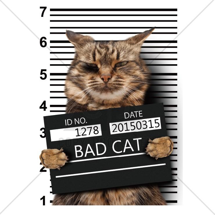 Tシャツ メンズ レディース 半袖 高品質 猫 ネコ ワル猫 悪い猫 おもしろtシャツ クルーネック プリントtシャツ Dt8669 Three O One 301 Store 通販 Yahoo ショッピング