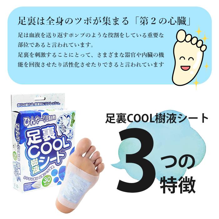 足裏シート 冷却 ひんやり 就寝時 樹液シート 老廃物 フットケア 大