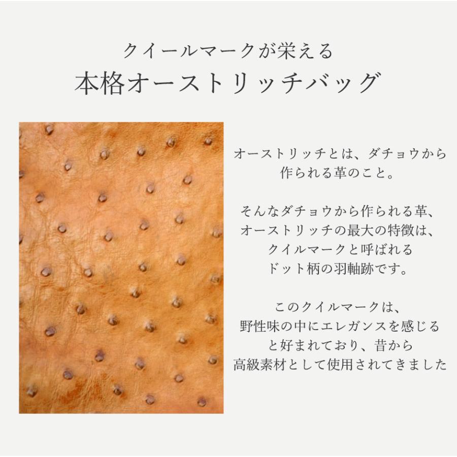 新品/未使用】新品 オーストリッチ ポーチウォレット モカ レディース 