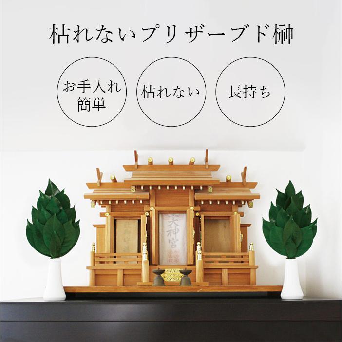 国産プリザーブド榊 枯れない 長持ち 神棚用 お手入れ不要 丹波産高級