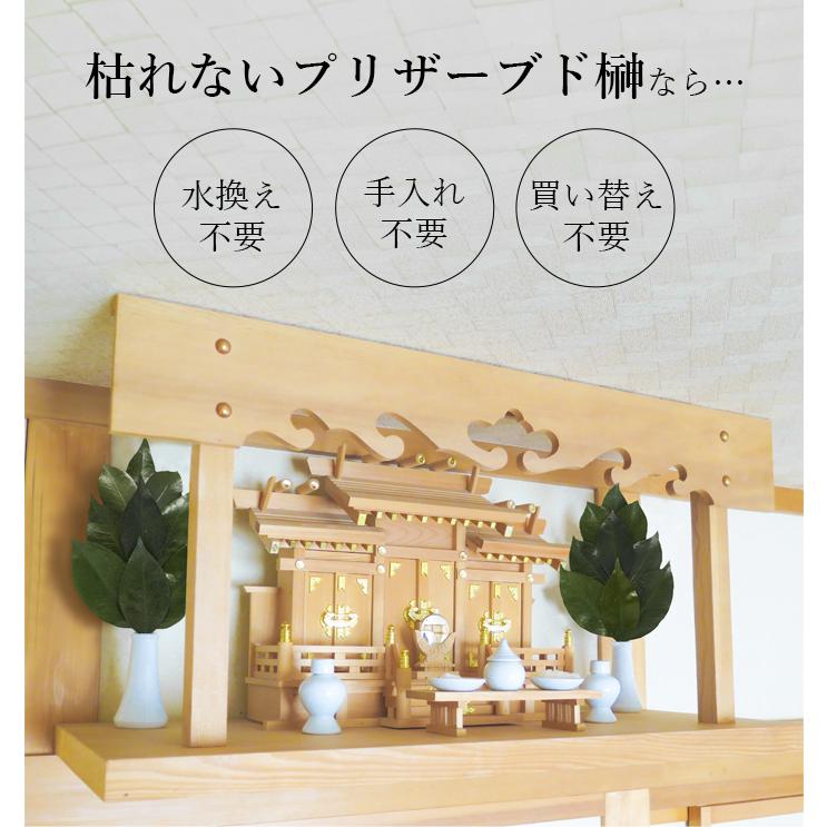 国産プリザーブド榊 枯れない 長持ち 神棚用 お手入れ不要 丹波産高級