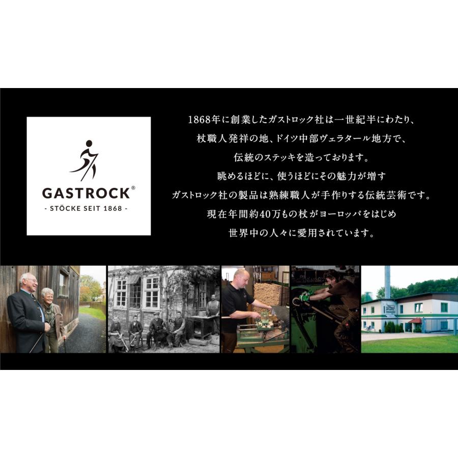 杖 ステッキ ガストロック 一本杖 高級 おしゃれ 男性 女性 父の日 母の日 敬老の日 介護 リハビリ杖 / GA-76_1