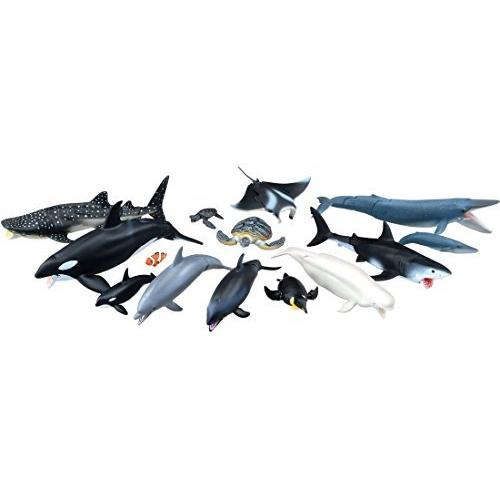 アニア およいでいいとも! ウキウキウォッチ 水族館 