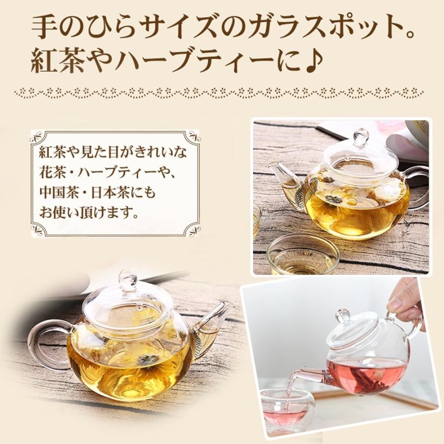 Nature Park 250ml 耐熱ガラス ティーポット 急須 ガラス 紅茶ポット かわいい 小サイズ 業務用 飲食店 お店用 一人暮らし Xz5zsbqpae キッチン 日用品 文具 Gasofttech Com