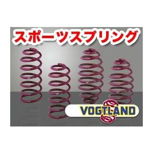 VOGTLAND フォクトランド スプリング フォルクスワーゲン PASSAT