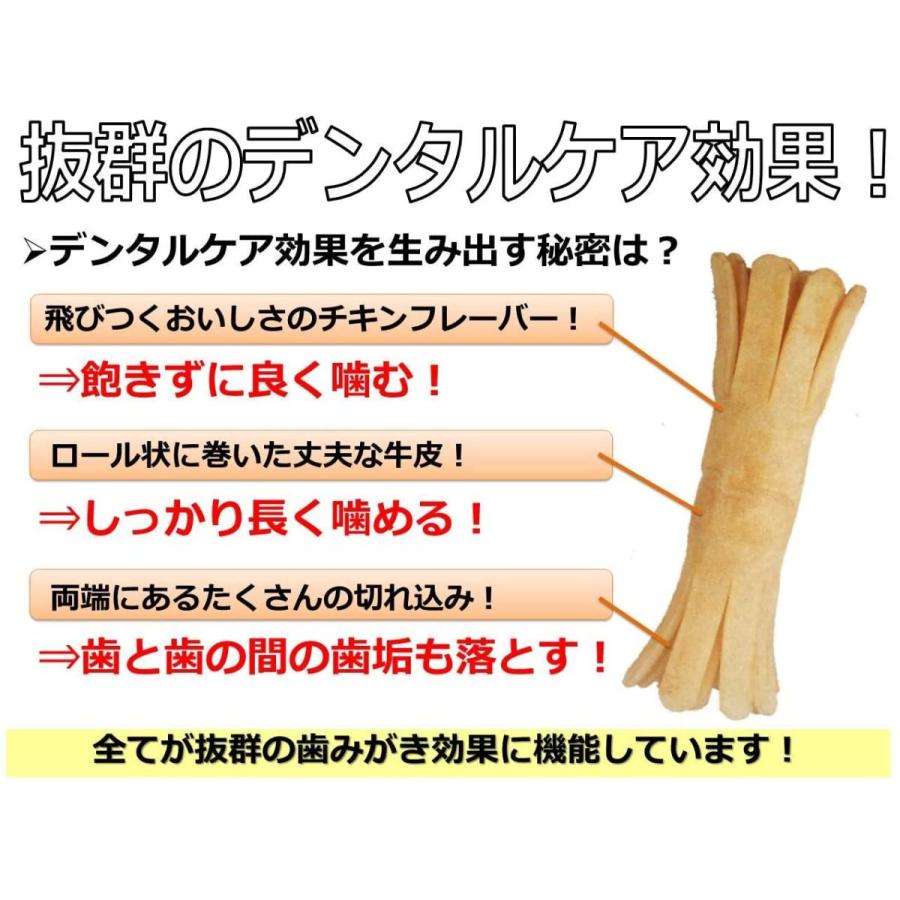 ハーツ (Hartz) 犬用おやつ チューデント 超小型~小型犬用 5本入 2個セット｜three-s-mart｜04