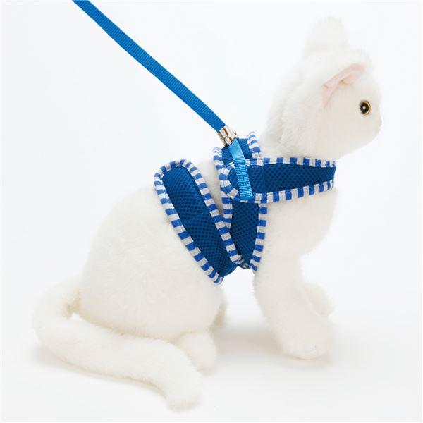代引不可/（まとめ）Anycat ハーネスストライプ M ブルー(ペット用品)〔×3セット〕/代引不可
