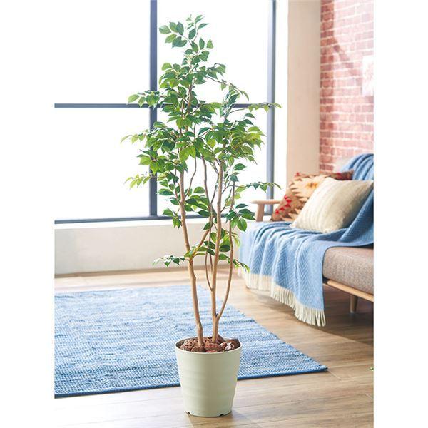 本店 日本 インテリアグリーン マウンテンアッシュ 全長130cm 人工 観葉植物 インテリア用品 代引不可 買取 通販 Constella Co Uk