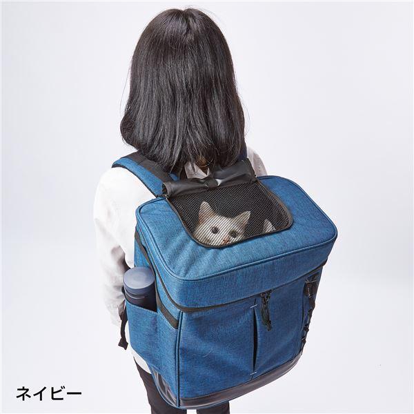 代引不可/Liscio CAT リュックキャリー グレー (ペット住関連用品/キャリー/布製)/代引不可_3