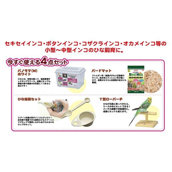 代引不可/インコひな用 特製飼育セット (鳥用品/カゴ)/代引不可