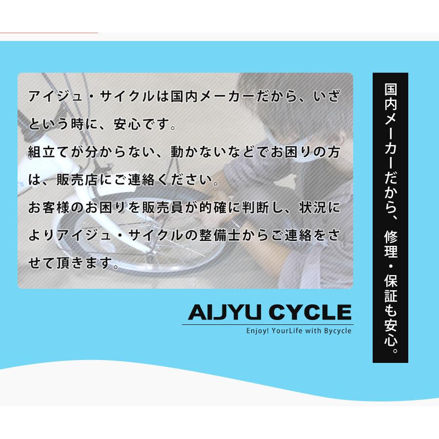新春SALE！ 電動アシスト自転車 折りたたみ 自転車 20インチ 【 パワー 3段階切替 】TSマーク付き パスピエ20R 軽量 リチウム バッテリー24v5Ah シマノ外装 6段変速ギア 【YWU8719145167】(31648円)