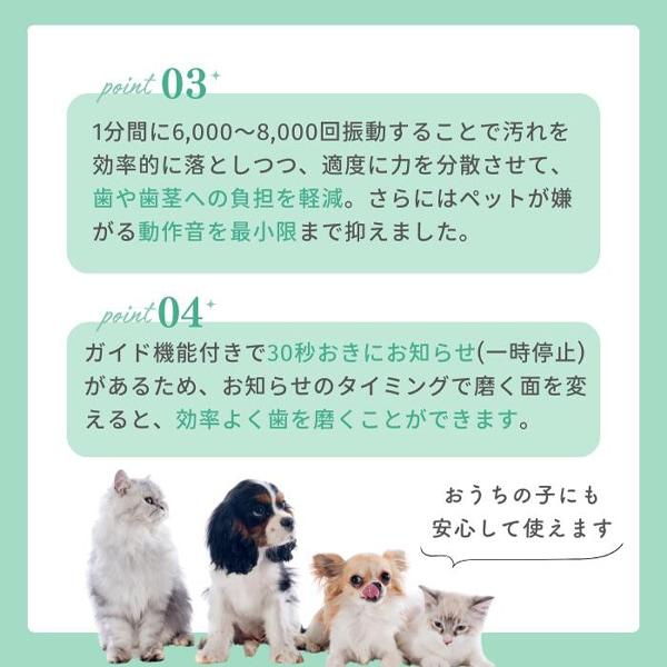 【BOOOOM プロ】犬猫専用 音波歯ブラシ ブーン |  | 15