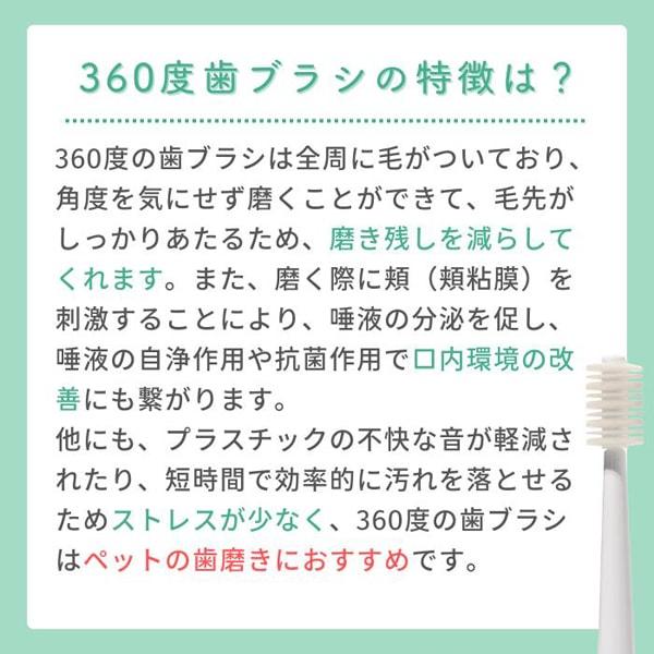 【BOOOOM プロ】犬猫専用 音波歯ブラシ ブーン |  | 16