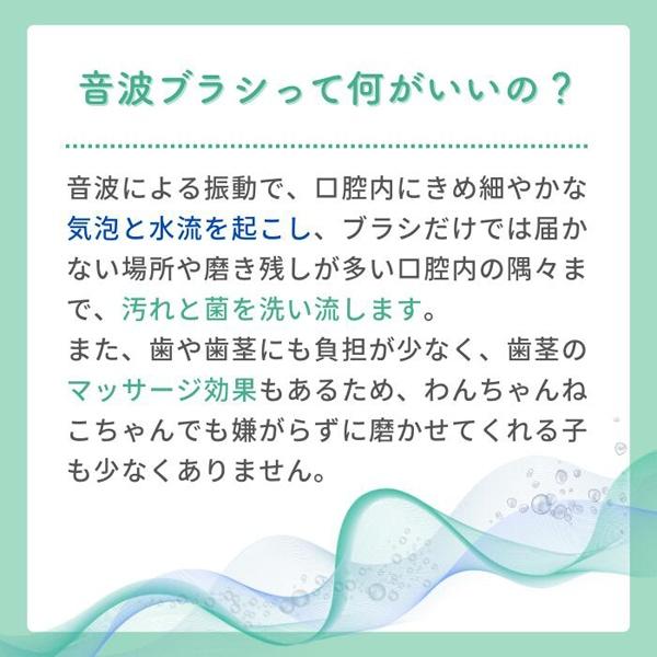 【BOOOOM プロ】犬猫専用 音波歯ブラシ ブーン |  | 07