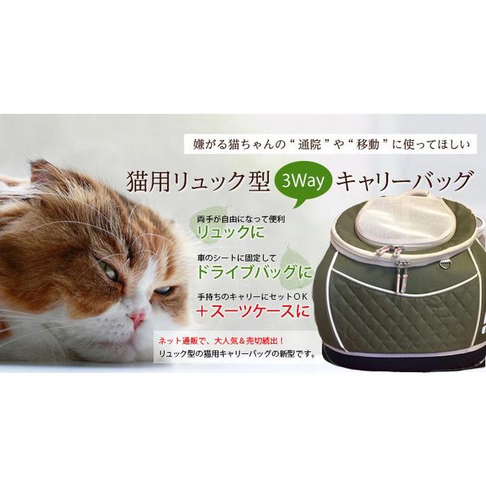 Daisuki ダイスキ 犬 猫用キャリーバック大 リュックサック ペットキャリーリュック ビッグサイズ 耐荷重10キロまで 全4色 Daisuki Big ペット用品の店threeb スリービー 通販 Yahoo ショッピング