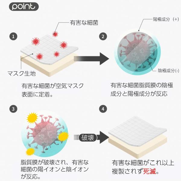 【ThreeBオリジナル】オリジナルマスク『Bamboo』1枚入　犬種入　犬柄　ブラッククリームグレーネイビーブラウンピンク　サイズSML |  | 03