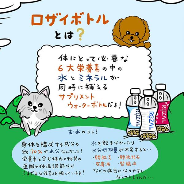 ROZAI（ロザイ）　バースデー（チャーム付）　繰り返し使える大切なペットに嬉しい水 国産天然素材 ミネラル成分 珪藻土 ［メール便不可］ |  | 03
