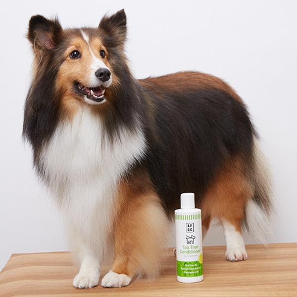 【商品リニューアルの為、現品限り】A.P.D.C ティーツリーコンディショナー Tea Tree Conditioner 250ml 天然ティーツリー ナチュラルな香りと効果 雑貨 | A.P.D.C. CLEAR | 02