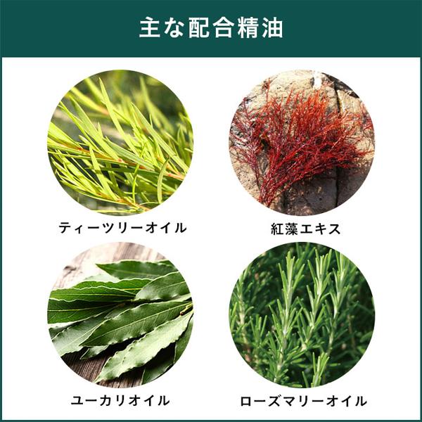 【商品リニューアルの為、現品限り】A.P.D.C ティーツリーコンディショナー Tea Tree Conditioner 250ml 天然ティーツリー ナチュラルな香りと効果 雑貨 | A.P.D.C. CLEAR | 03