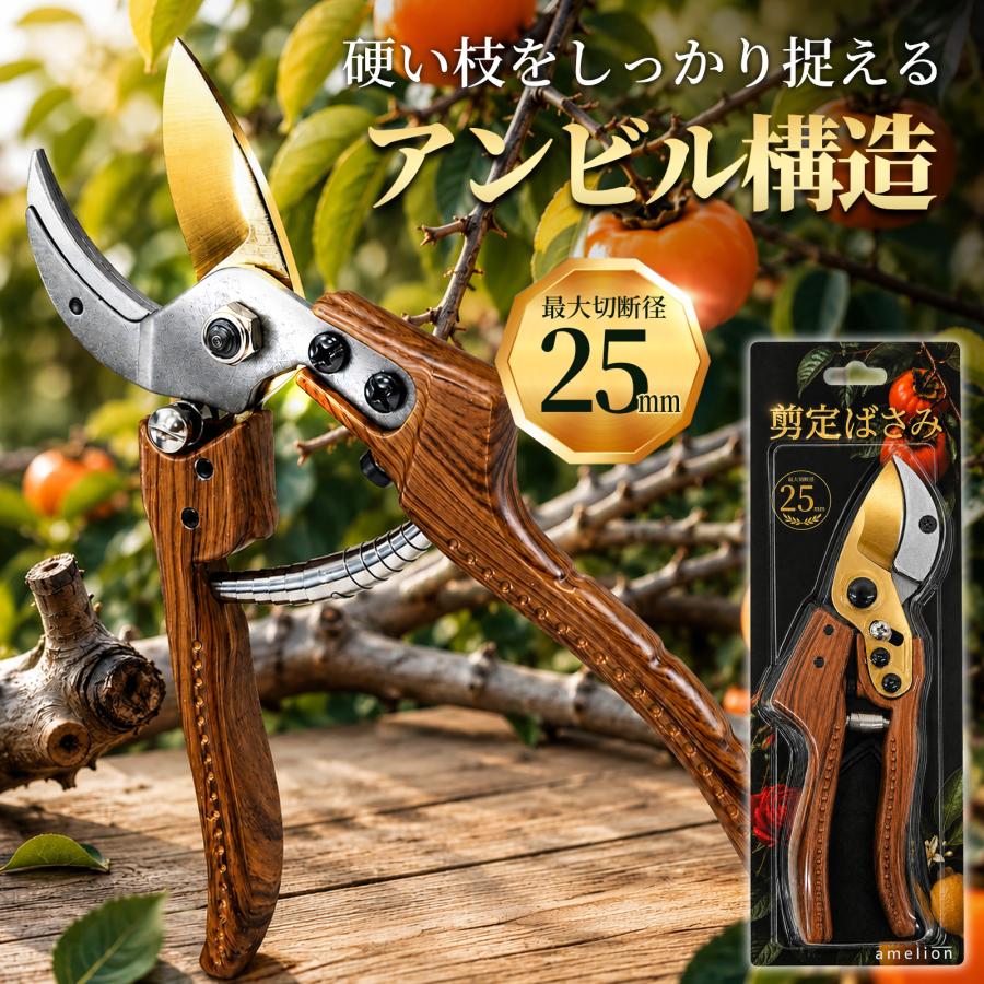 半額クーポン発行中【最大切断径25mm】剪定ばさみ 剪定鋏 枝切りばさみ 園芸ばさみ 太い枝 二重チタンコーティング カバー付 庭木 果樹 生垣 花木 ガーデニング | 