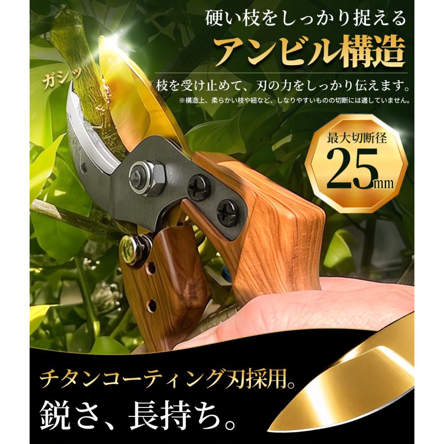 半額クーポン発行中【最大切断径25mm】剪定ばさみ 剪定鋏 枝切りばさみ 園芸ばさみ 太い枝 二重チタンコーティング カバー付 庭木 果樹 生垣 花木 ガーデニング |  | 01