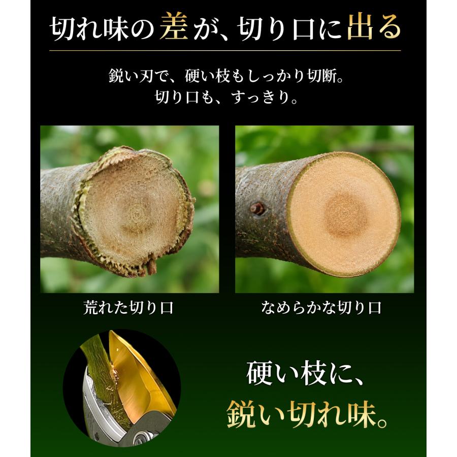 半額クーポン発行中【最大切断径25mm】剪定ばさみ 剪定鋏 枝切りばさみ 園芸ばさみ 太い枝 二重チタンコーティング カバー付 庭木 果樹 生垣 花木 ガーデニング |  | 03