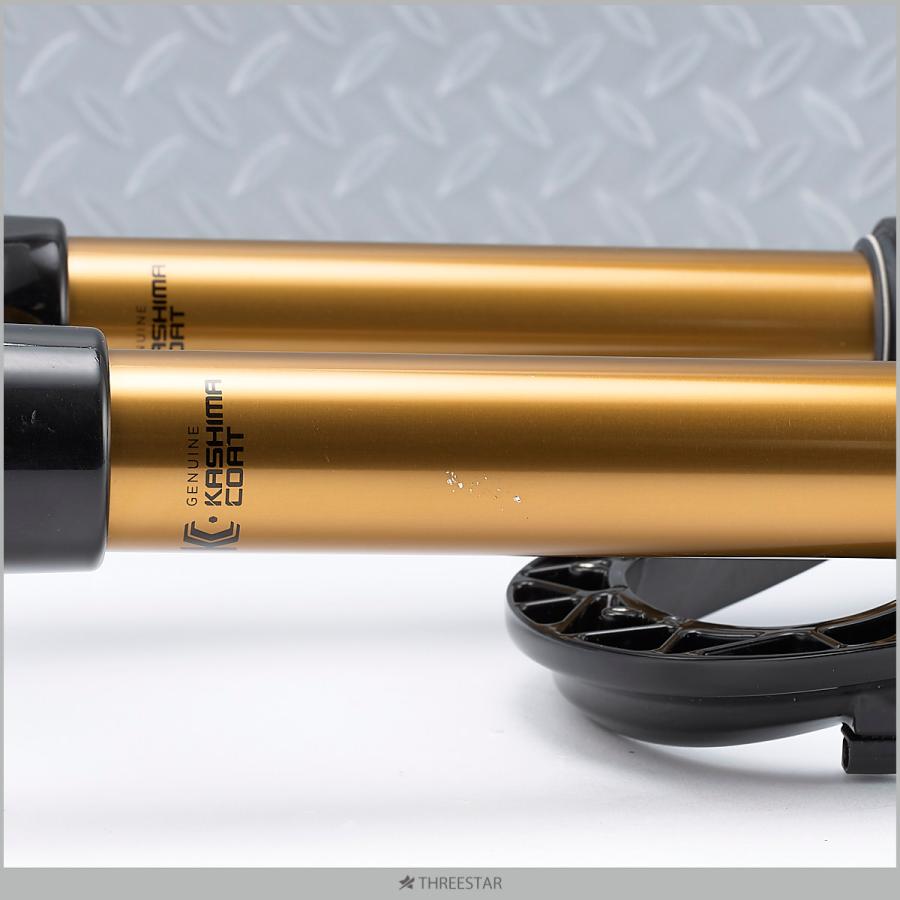 FOX 36 Factory E-Bike+ FLOAT 29インチ 910-20-883 FOX 36 Factory E-Bike+ FLOAT 29インチ 910-20-883
