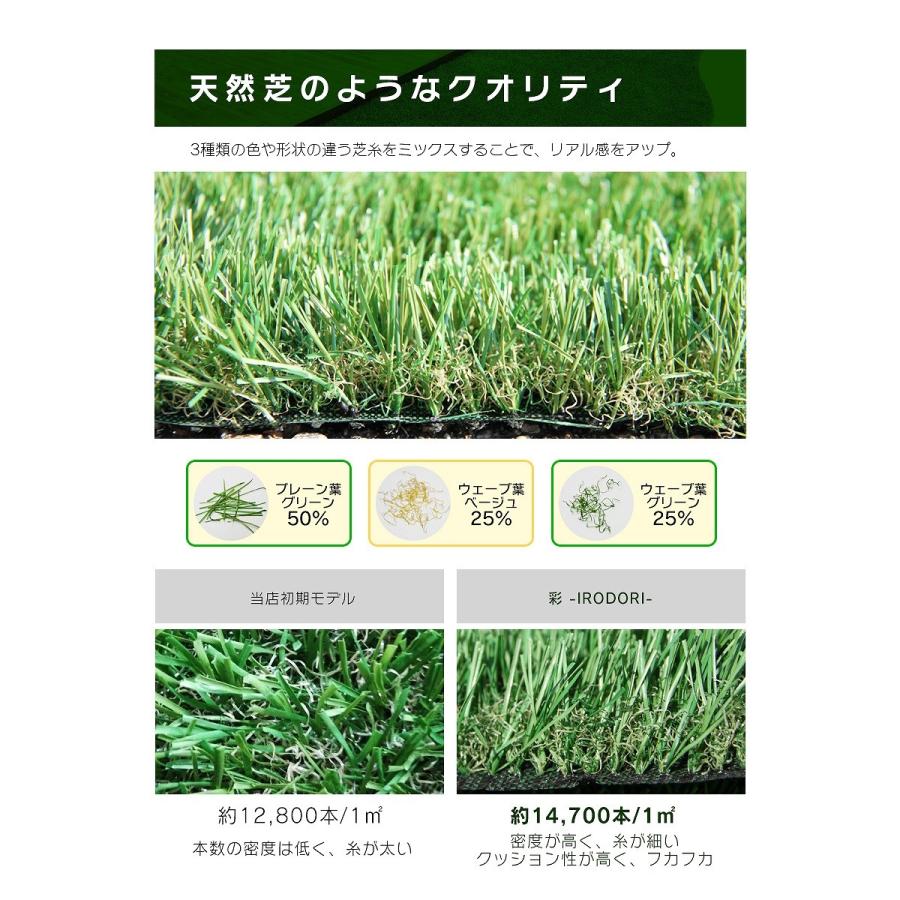 防炎リアル人工芝 [U字ピン20本入] 1m×10m 芝丈36mm [彩-IRODORI
