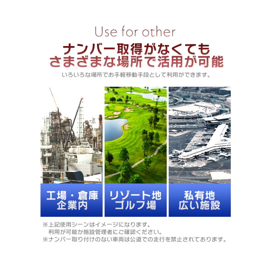 公道走行完全装備 一般原動機付自転車】フル電動バイク 14インチ 公道走行完全装備 一般原動機付自転車】フル電動バイク 14インチ