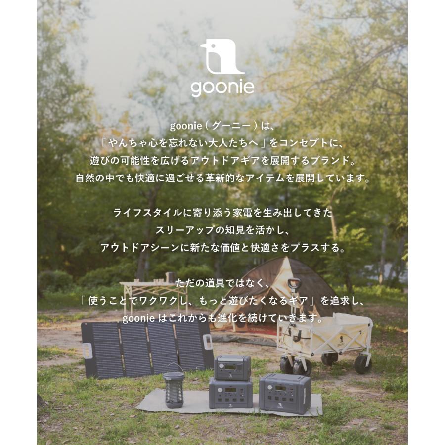 ポータブル電源 297Wh 300W 日本メーカー 国内サポート 小型 軽量 正弦