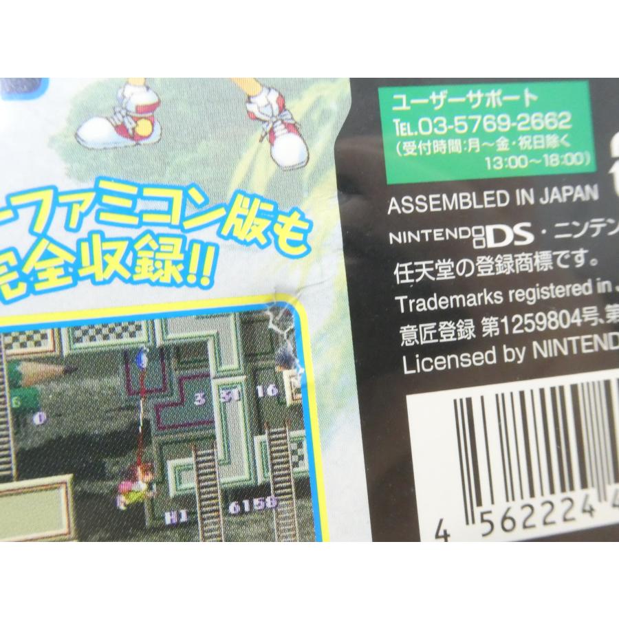 DS ニンテンドー 海腹川背・旬 セカンドエディション 完全版 ゲーム