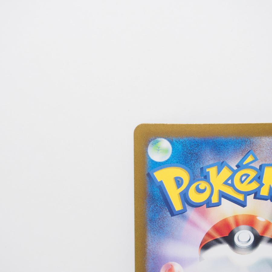 Pokemon ポケモンカード ゼイユ SV6 H 130/101 SAR トレカ Pokemon ポケモンカード ゼイユ SV6 H 130/101 SAR トレカ
