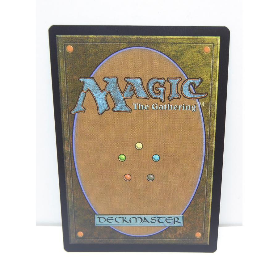 MAGIC The Gathering MTG 敵対工作員 141/361 R カード △WU1548