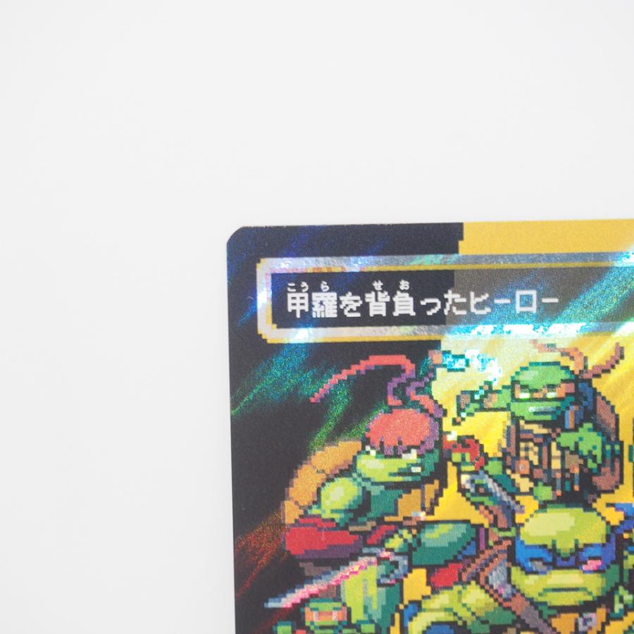 ウィザーズ・オブ・ザ・コースト MAGIC The Gathering MTG 甲羅を 