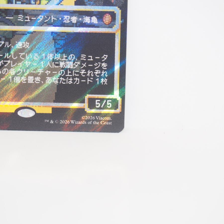 ウィザーズ・オブ・ザ・コースト MAGIC The Gathering MTG 甲羅を 