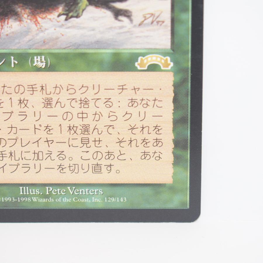 適者生存　エクソダス　マジックザギャザリング ウィザーズ・オブ・ザ・コースト MAGIC The Gathering MTG 適者生存