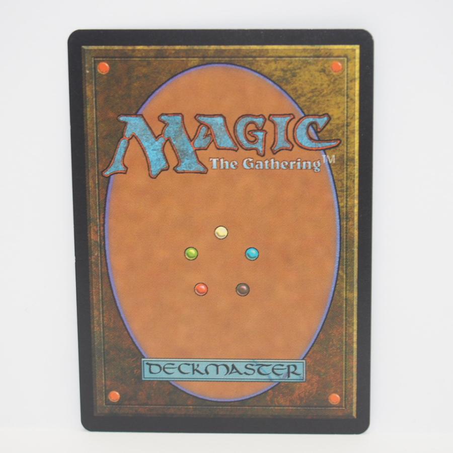 ウィザーズ・オブ・ザ・コースト MAGIC The Gathering MTG 適者生存
