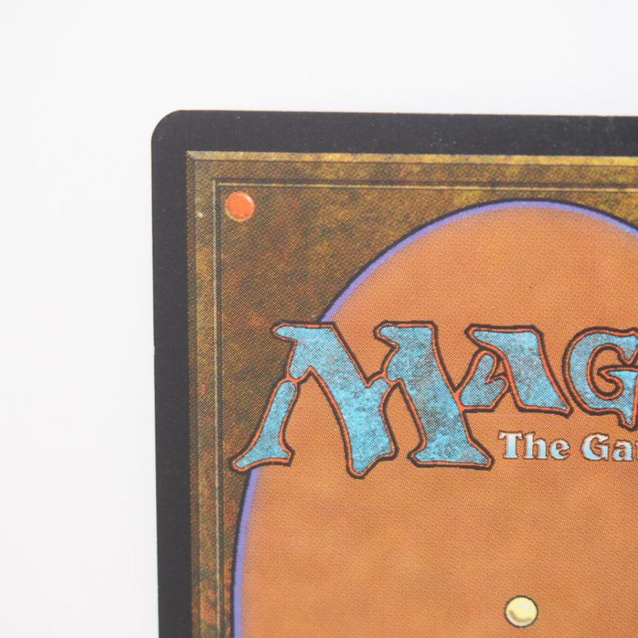 ウィザーズ・オブ・ザ・コースト MAGIC The Gathering MTG 適者生存