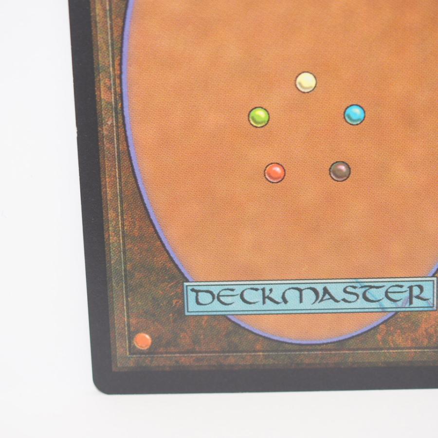 ウィザーズ・オブ・ザ・コースト MAGIC The Gathering MTG 適者生存