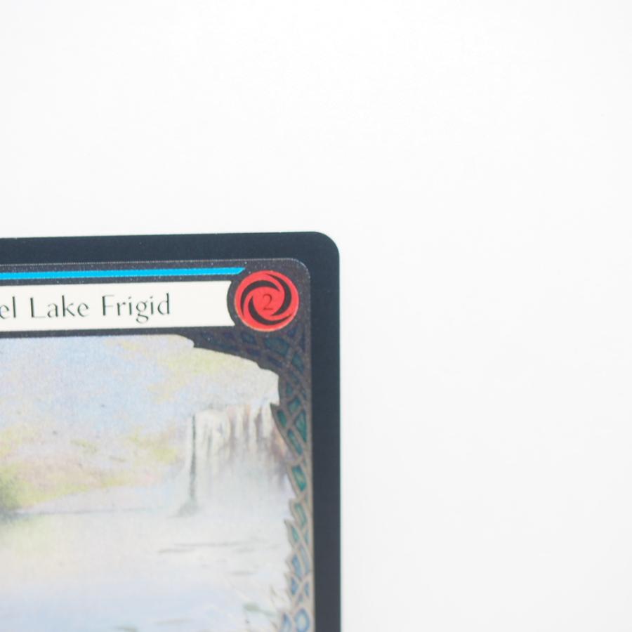 FLESH AND BLOOD Channel Lake Frigid P EN LGS386 Cold Foil