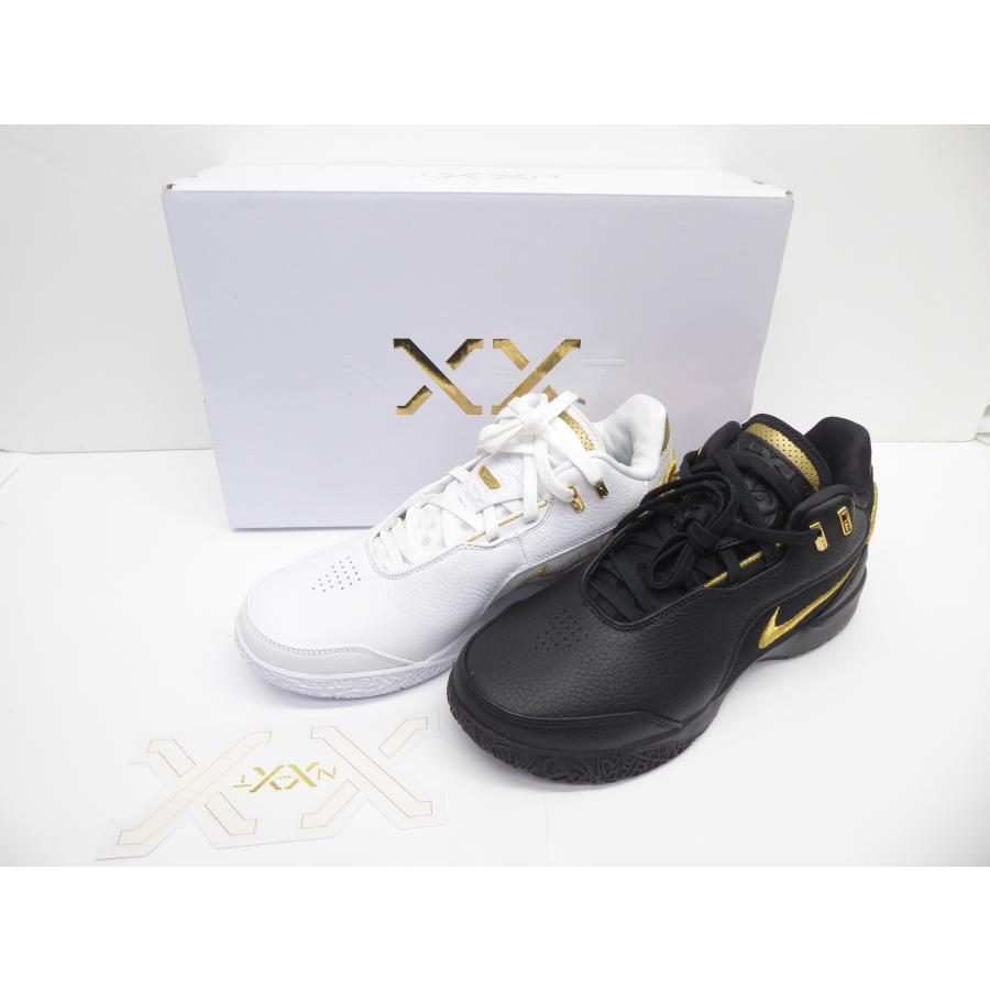 NIKE ZM LEBRON NXXT GEN AMPD EP EQUITY FJ1567-103 size27.5cm NIKE ZM LEBRON NXXT GEN AMPD EP EQUITY FJ1567-103 size27.5cm