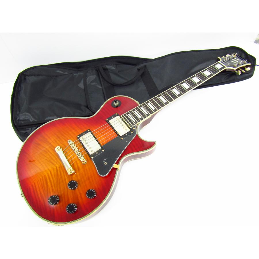 Grass Roots G-LP-55C グラスルーツ エレキギター 社外ソフトケース