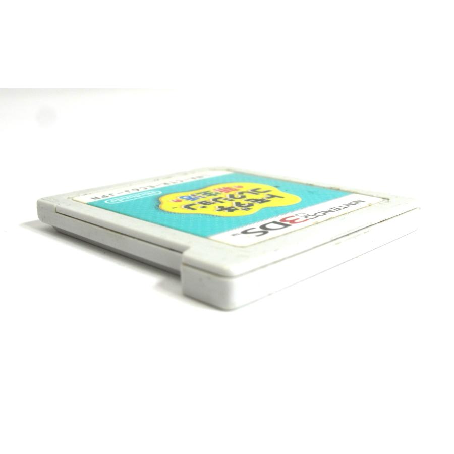 ニンテンドー3DS Nintendo 任天堂 トモダチコレクション 新生活
